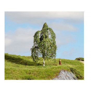 *Silver Birch Master Tree 12cm