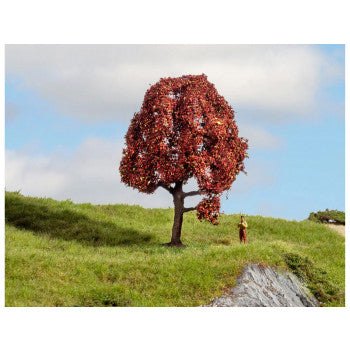 *Copper Beech Master Tree 10cm