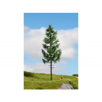 *High Trunk Spruce Master Tree 23cm