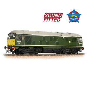 Class 24/0 D5036 Disc Headcode BR Green (Small Yellow Panels)