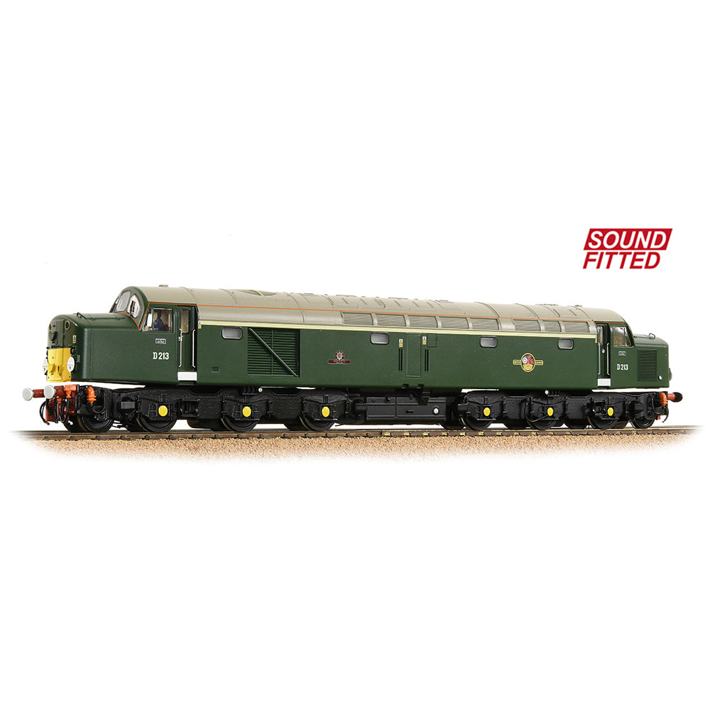 Class 40 Disc Headcode D213 'Andania' BR Green (Small Yellow Panels)