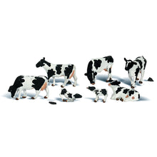 Load image into Gallery viewer, N Holstein Cows
