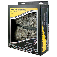 Load image into Gallery viewer, Rock Face Ready Rocks
