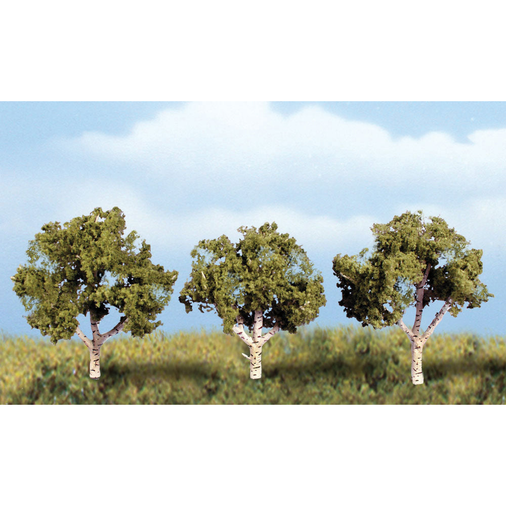 Large Deciduous Trees