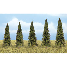 Load image into Gallery viewer, Evergreen Trees
