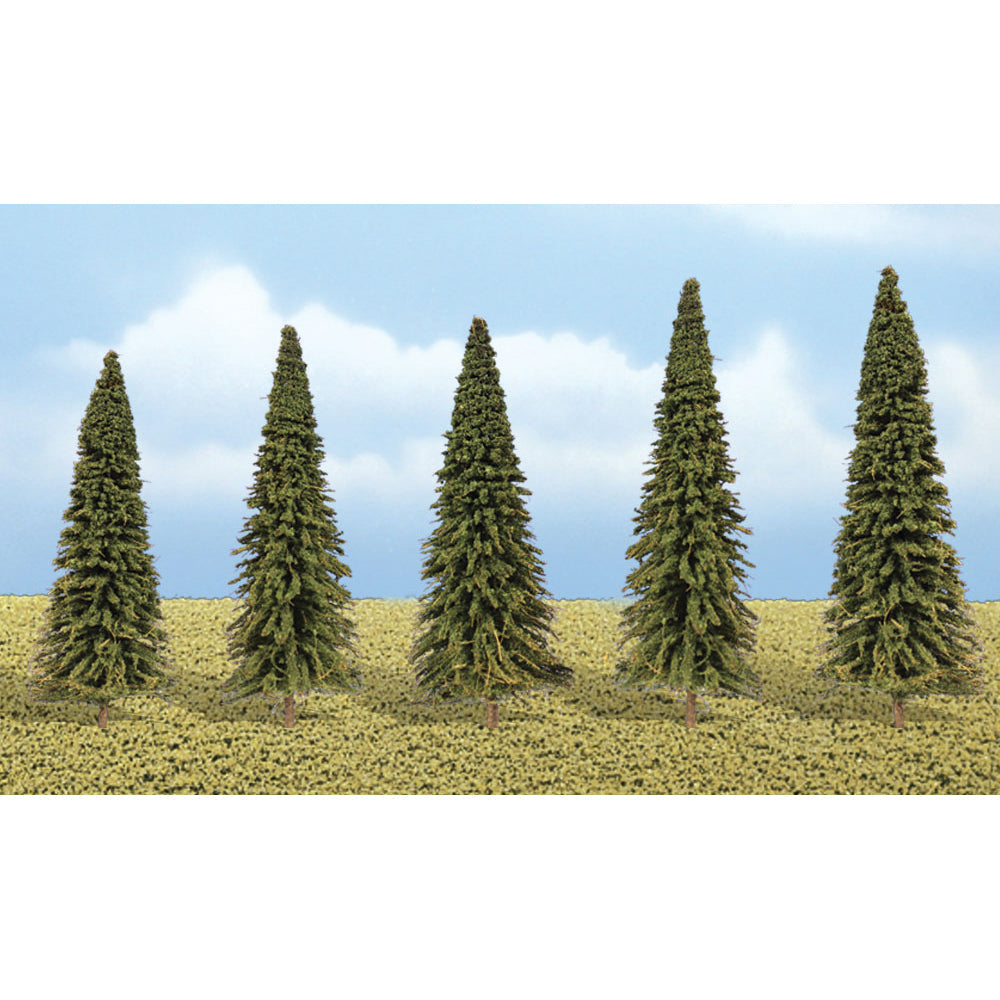 Evergreen Trees