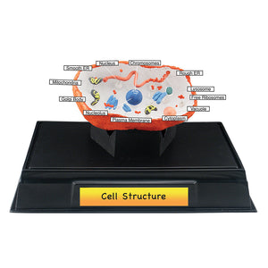 Cell Structure Class Pack