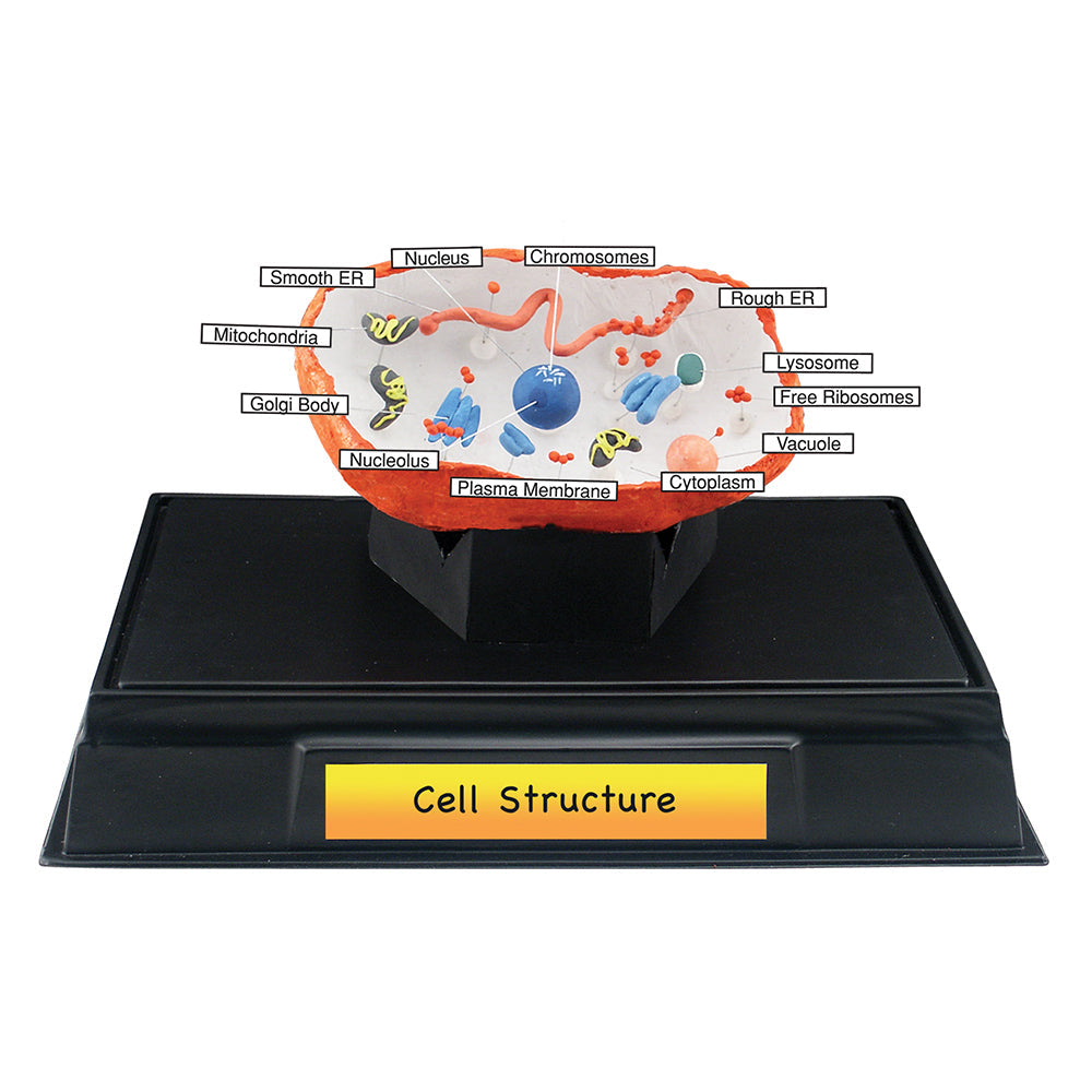 Cell Structure Class Pack