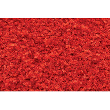 Load image into Gallery viewer, Fall Red Coarse Turf - Bachmann -WT1355
