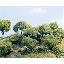 Load image into Gallery viewer, 2&quot;-4&quot; Hardwood Forest (24/Kit)
