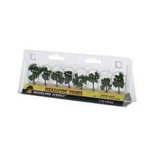 Load image into Gallery viewer, Ã‚Â¾&quot;-1Ã‚Â¼&quot; Ready Made Medium Green (8/Pk) - Bachmann -WTR1501
