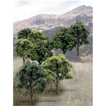 Load image into Gallery viewer, 3&quot;-5&quot; Ready Made Mixed Green Deciduous Value Pack (14/Pk)
