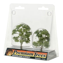 Load image into Gallery viewer, 2Ã‚Â¼&quot;-3&quot; Premium Sycamore (2/Pk) - Bachmann -WTR1603
