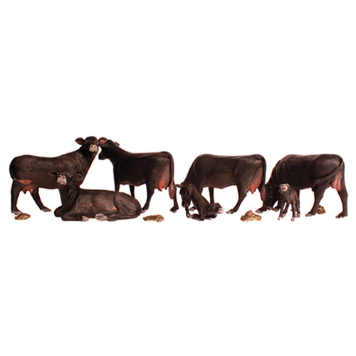 HO Black Angus Cows