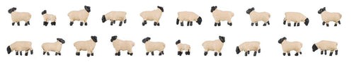 *Sheep with Black Heads (2) Figure Set