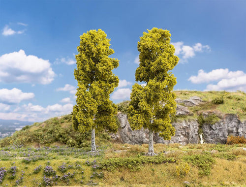 *Birch Trees (2) 180mm