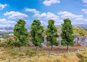 *Cypress Oak Trees 90-110mm (4)