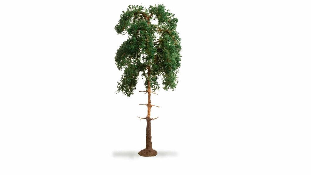 Pine Master Tree 18cm