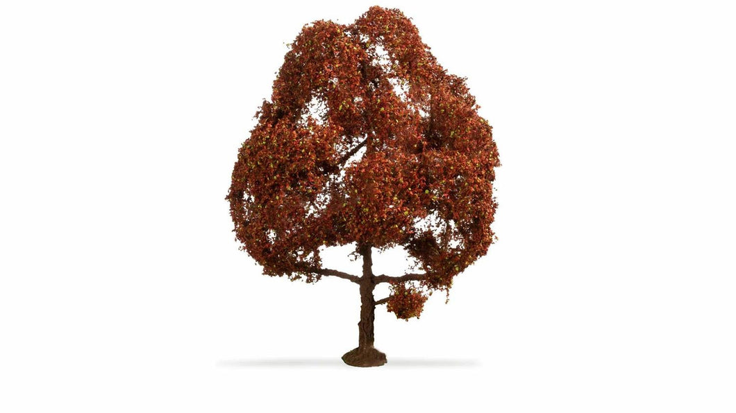 *Copper Beech Master Tree 15cm