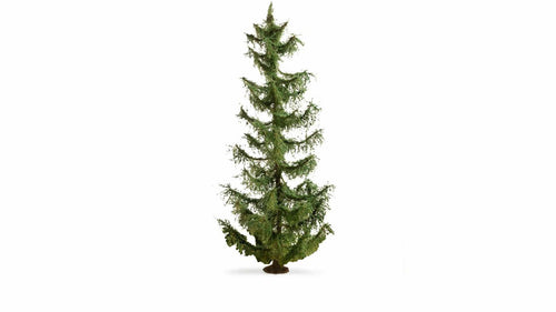 *Spruce Master Tree 22cm