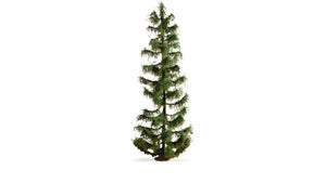 *Spruce Master Tree 25cm